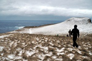 Wanderung zur Nordspitze Grímseys