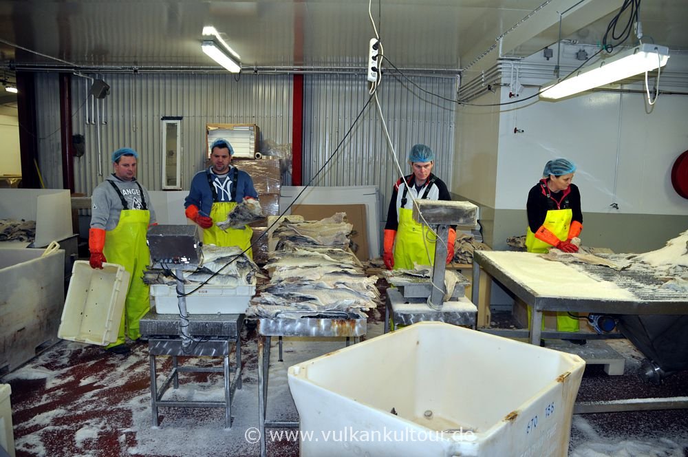 Fischfabrik von Grímsey