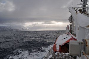 Arktische Überfahrt von Grímsey nach Dalvík