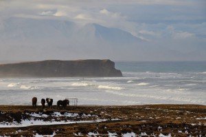 Winterstimmung in Nordisland