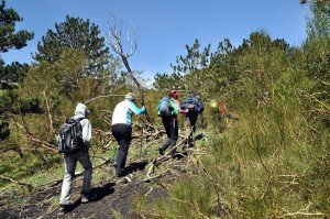 Wanderung an der Nordseite des Ätna