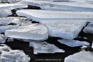 Eisschollen an der Mündung der Ölfusá