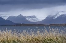 Blick über das Ísarfjarðardjúp nach Æðey