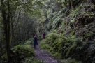 Tolle Wanderwege in tropischer Vegetation