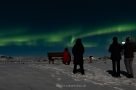 Nordlichter über dem winterlichen Island