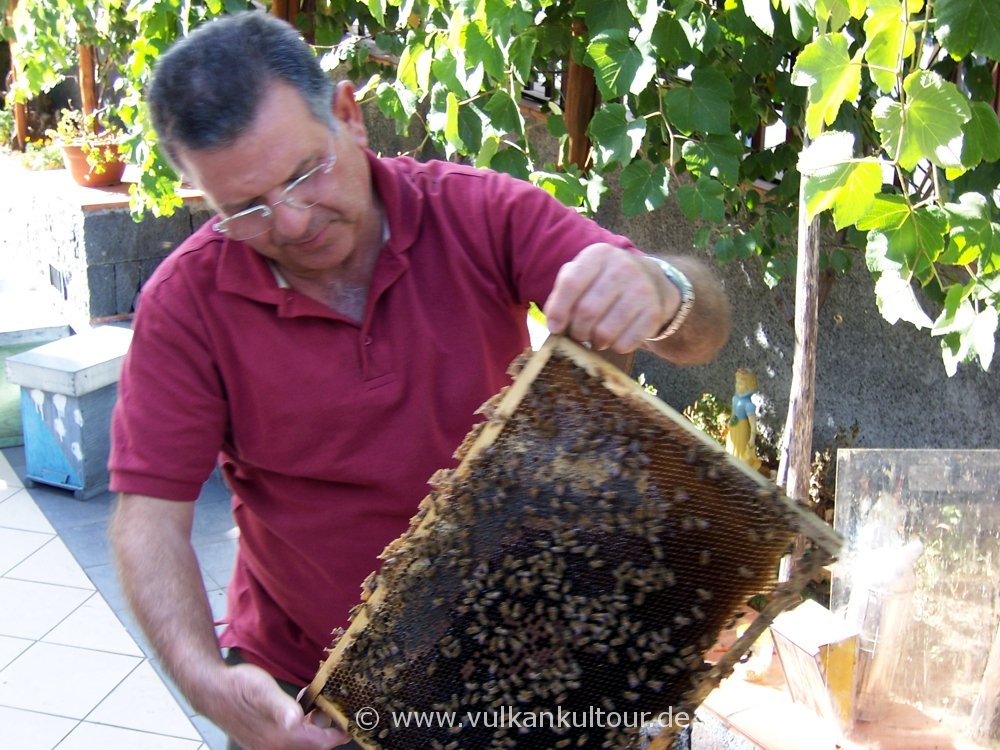 Sebastiano Costa zeigt uns seine Bienen (Oro d'Etna in Zafferana)