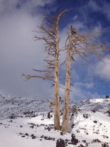 Etna Nord - Skitour