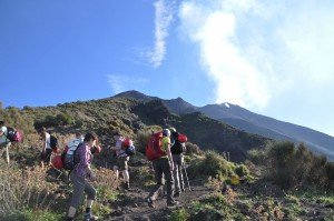 Stromboli - Aufstieg auf dem alten Weg (Punta Labronzo)