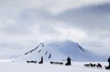 Hundeschlitten-Safari (Foto © Spitzbergen Adventures)