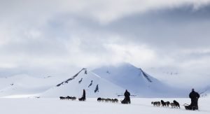 Hundeschlitten-Safari (Foto © Spitzbergen Adventures)