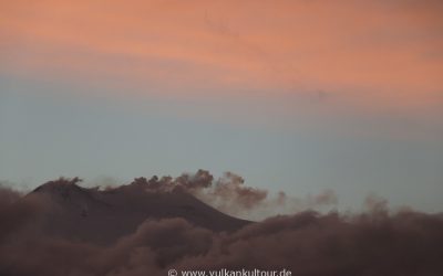 Am Morgen des 24.1.2017 - erste Anzeichen für beginnende Aktivität (Foto © Flo Pachaly)